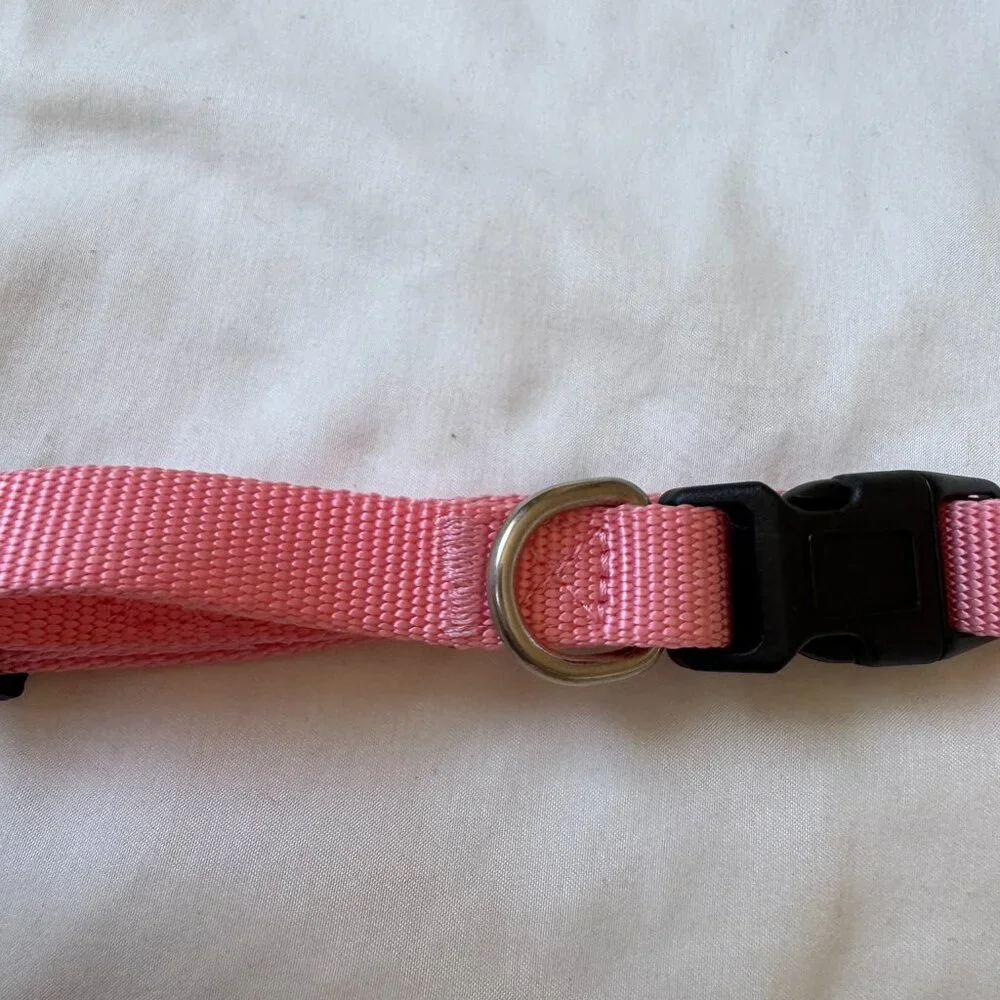 NWT Native Pup Basic Nylon Dog Collar, Adjustable for Small Dogs or Puppies Pink